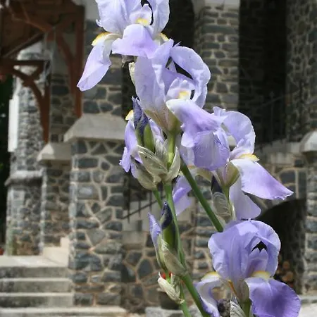 Bed & Breakfast Chateau De Roqueperlic