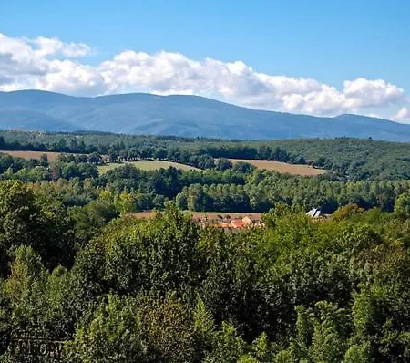 Chateau De Roqueperlic Bed & Breakfast Noailhac (Tarn)